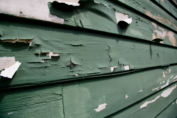 Best Commercial Junk Removal  in Waterloo, WI