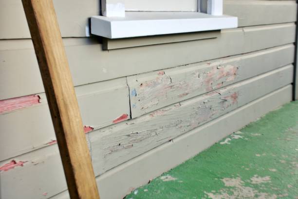 Best Hoarding Cleanup  in Waterloo, WI